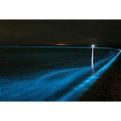 Katie Driscoll's photo