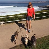 Susan McDowell's photo