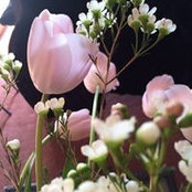 Cathy Lulai's photo