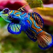 Toni Olson's photo