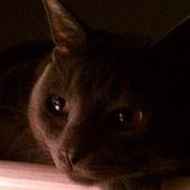 Laura Rost's photo