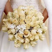 Noha Aref's photo