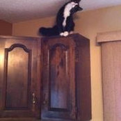 Tammy Perry's photo