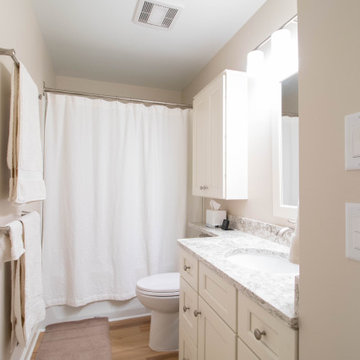 Lansing Kitchen and Bathroom Remodel