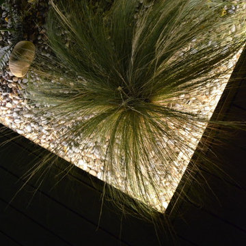 Un jardin original à Toulon