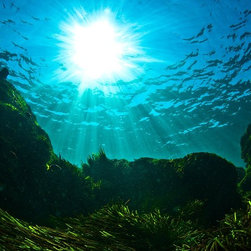 Sea Grass by Joel Coleman - Photographs