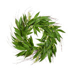 Vickerman 24" Artificial Green Willow Wreath