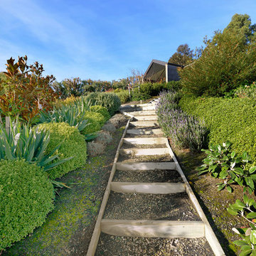 Mosgiel Hillside Garden