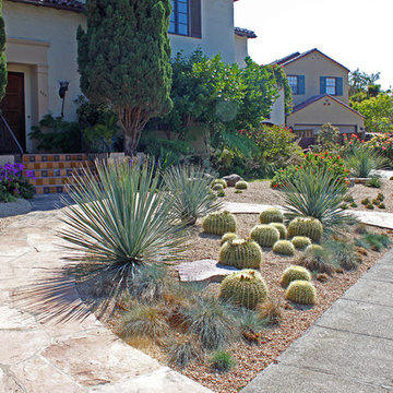 A Lawn to Xeriscape Garden Conversion