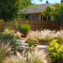 front yard xeriscape