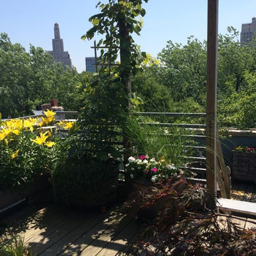 Boerum Hill - Rooftop Garden