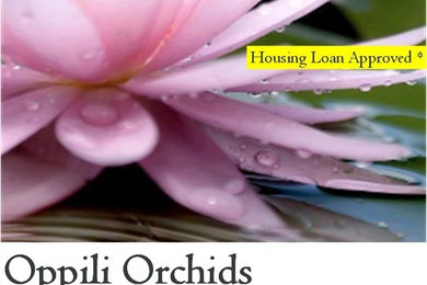 OPPILI ORCHIDS