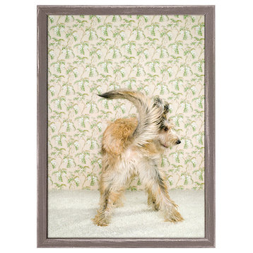 "Dog Collection, Tail Wag" Mini Framed Canvas by Catherine Ledner
