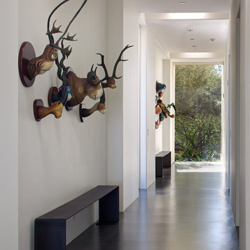 Rancho Santa Fe Contemporary