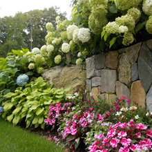 flower garden