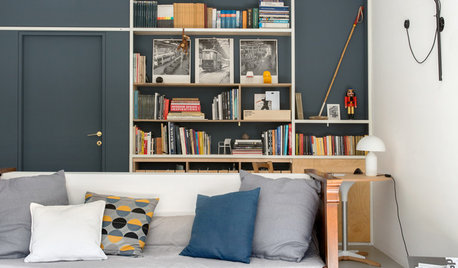 Houzz Tour: A Former Garage Becomes a Beautiful Light-Filled Home