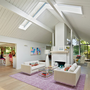 Vaulted Ceiling With Skylights Living Room Ideas Photos