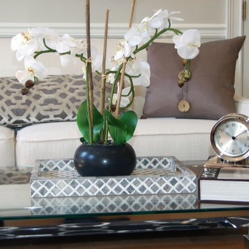 Mass. Ave Condo