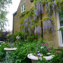 Cottage Garden