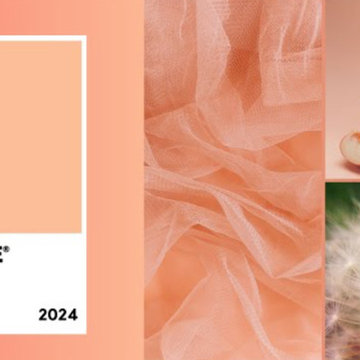 Color Trends