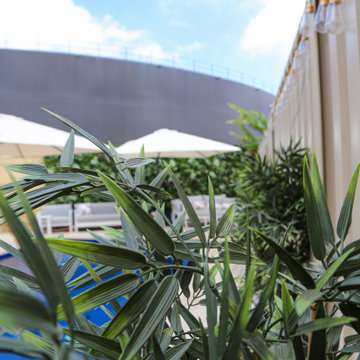 A Stunning Poolside With Artificial Green Walls and Plants