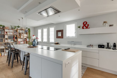 Inspiration pour une cuisine nordique avec un placard à porte plane et îlot.