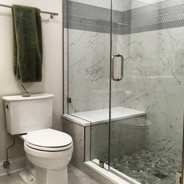 Park Ridge Basement