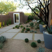 yard
