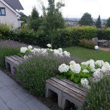 back slope