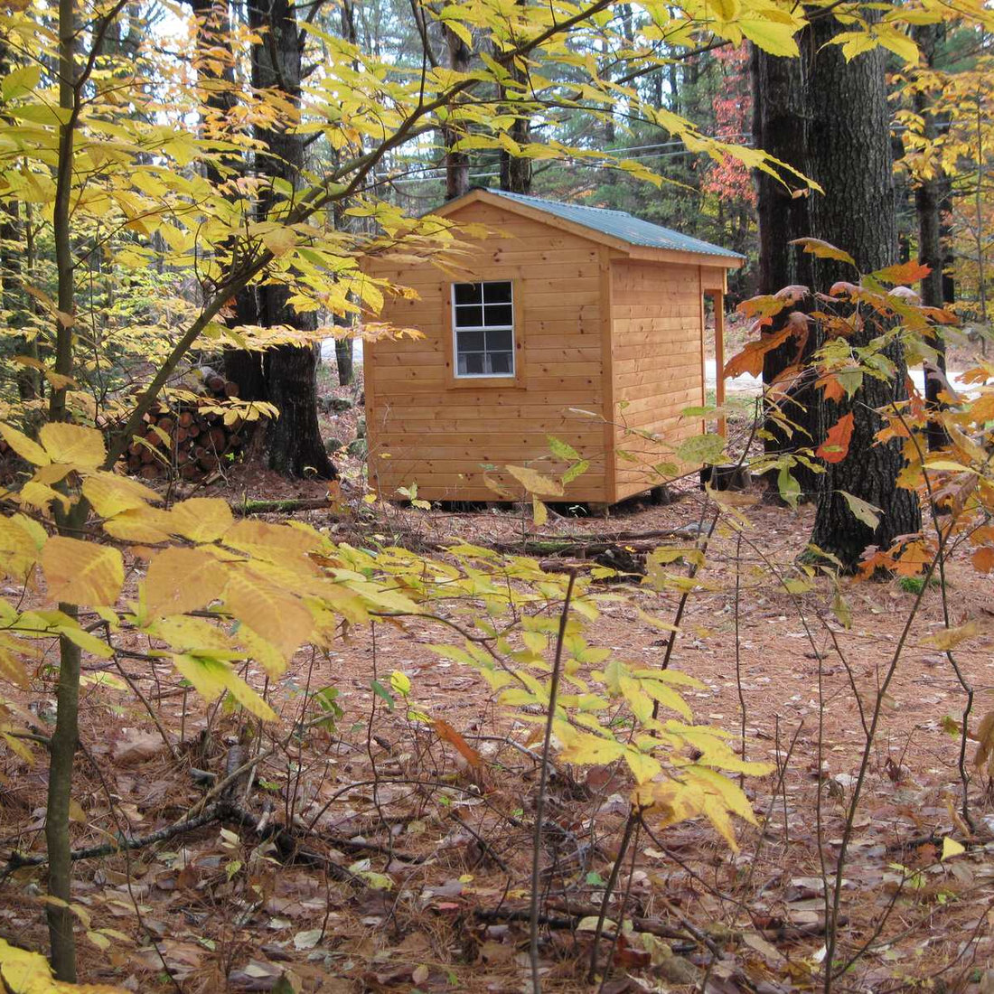 Cabins & Sheds