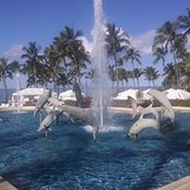 Tracy Stanaway's photo