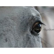 Mariam Al Maulla's photo