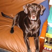 John Asher's photo