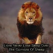 Kenneth Brink's photo