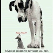 Jaime Falconi's photo