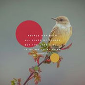 Nnanke Bassey's photo