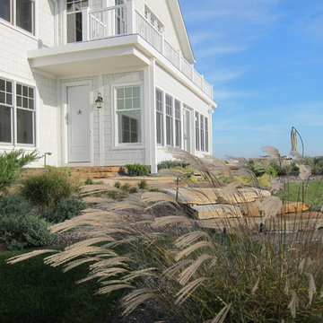 Site Design with Nature