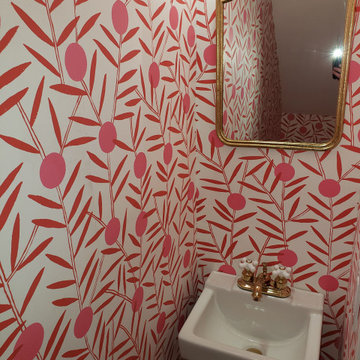 Renovation and Alteration to existing Duplex on Belmont Avenue