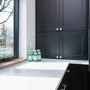 Modern Ranch Whole-Home Remodel & Addition | Arlington Heights, IL