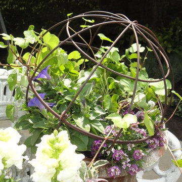 Container Gardens