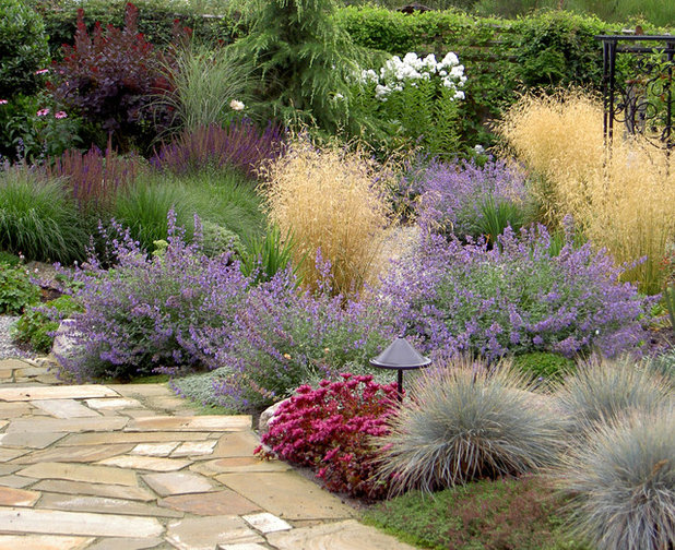 Современный Сад by Bliss Garden Design, LLC