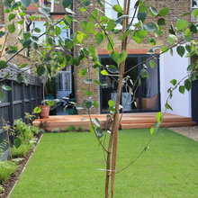 Backyard Area