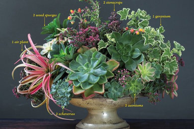 The Plant Recipe Book