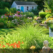 cape cod landscape