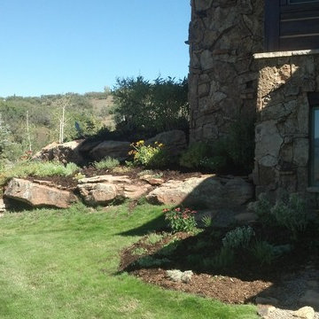 Moss boulders with continuous bloom plants