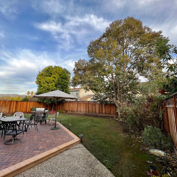 Tree Thinning and Crown Reduction (Privet and Podocarpus)
