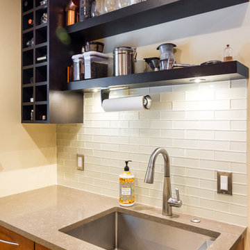 Ann Arbor "Tiny" Kitchen remodel