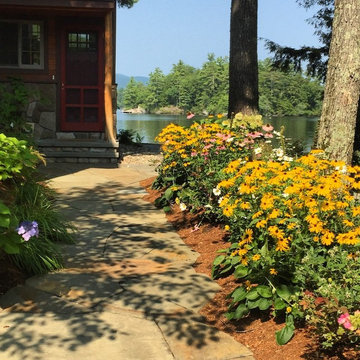 Rudbekia