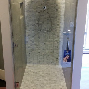 Showerguard Frameless Glass "Exceptional" Shower Door