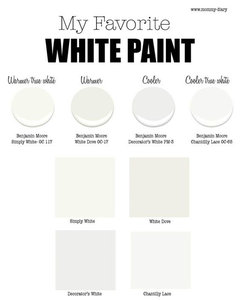 BEST WHITE Paint for interior??